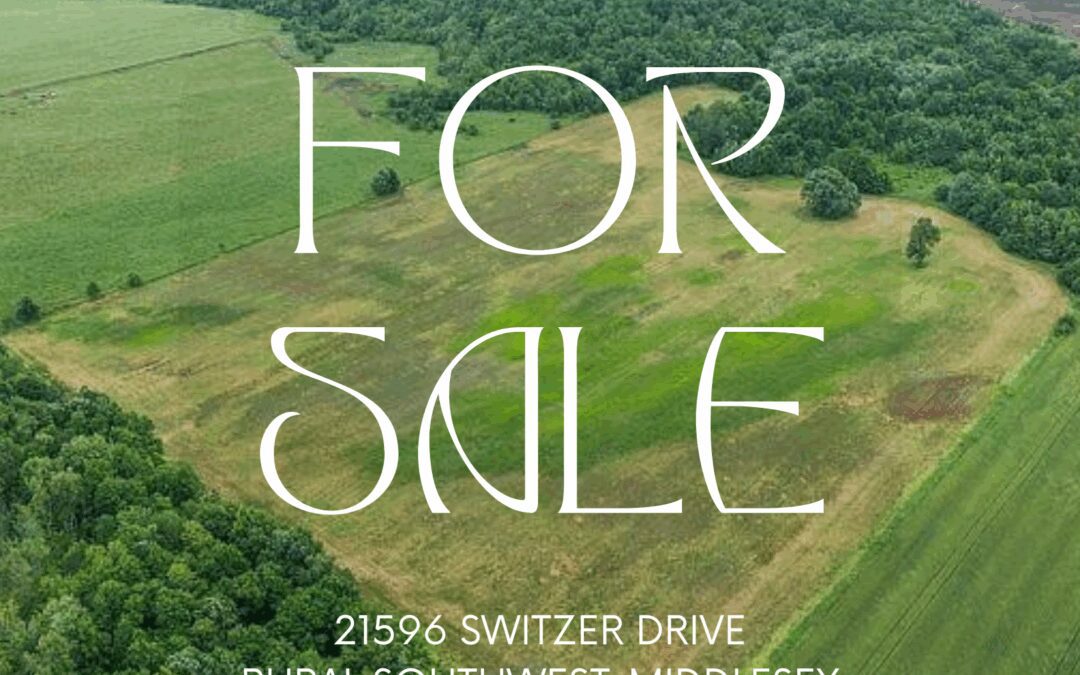 54 Acres For Sale! 21596 Switzer Dr, SW Middlesex – $599,900